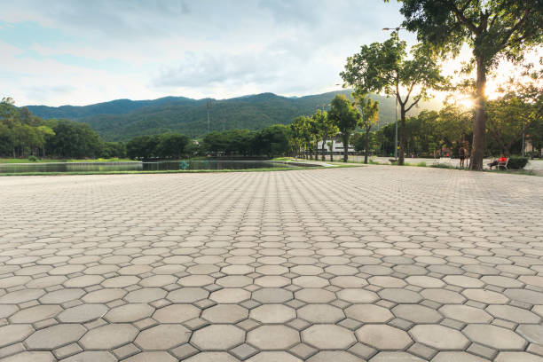 Trusted Remerton, GA Driveway Pavers Experts